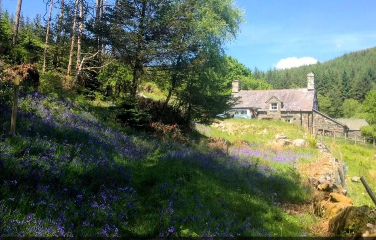 Tyn Y Simdde - Secluded Mountain Stay - Stunning Views Of Eryri Dolgellau Bagian luar foto
