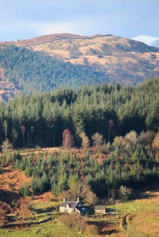 Tyn Y Simdde - Secluded Mountain Stay - Stunning Views Of Eryri Dolgellau Bagian luar foto