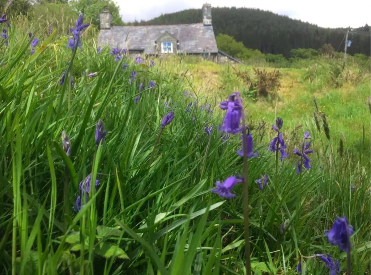 Tyn Y Simdde - Secluded Mountain Stay - Stunning Views Of Eryri Dolgellau Bagian luar foto