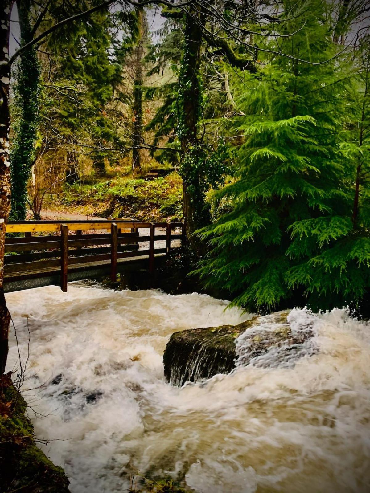 Tyn Y Simdde - Secluded Mountain Stay - Stunning Views Of Eryri Dolgellau Bagian luar foto